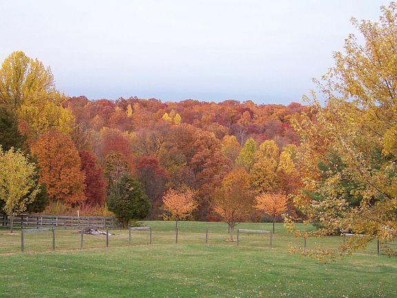 View from back deck (Fall)