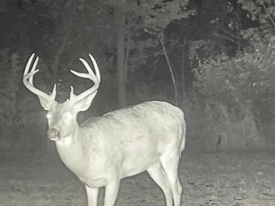 0 E Michigan Ave, Au Gres, MI, 48703