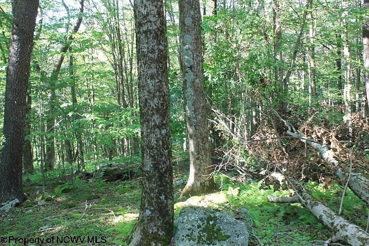 TRACT 35 Rocky Rd Harman WV 26270 MLS 10151046 Zillow