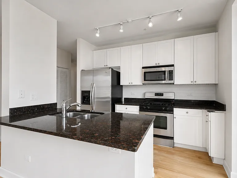 451 W Huron St #1501 — Photo 4