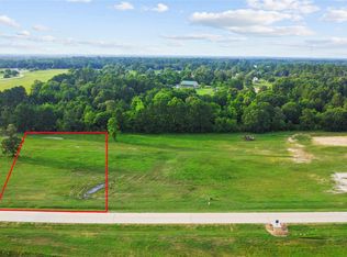 2407 Emerie Arbor Ln, Hockley, TX 77447