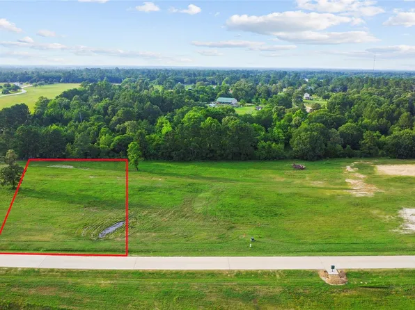 2407 Emerie Arbor Ln, Hockley, TX 77447