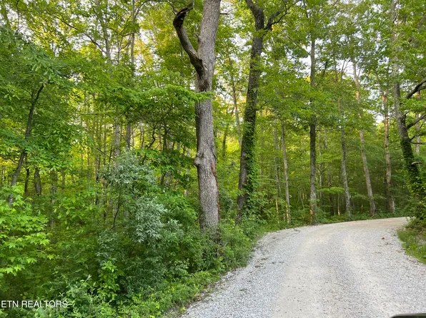 Carson Town Rd, Sunbright, TN 37872