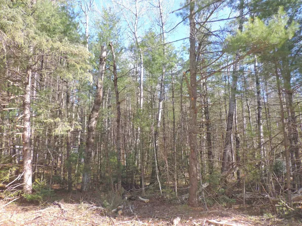 16990 Landing Ln, White Lake, WI 54491