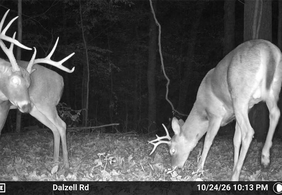 1st image of 0 Dalzell Rd
