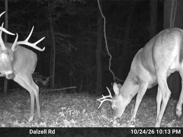 0 Dalzell Rd, Whipple, OH 45788