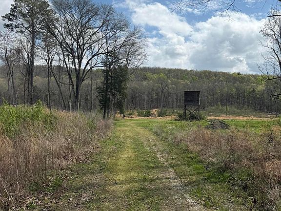 3rd image of Calico Rd