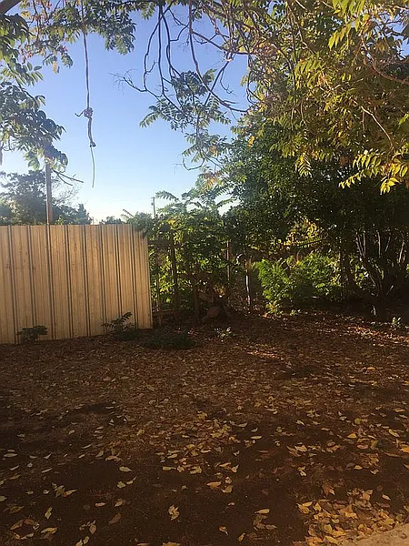 Thumbnail 20