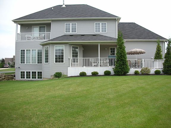 Back view