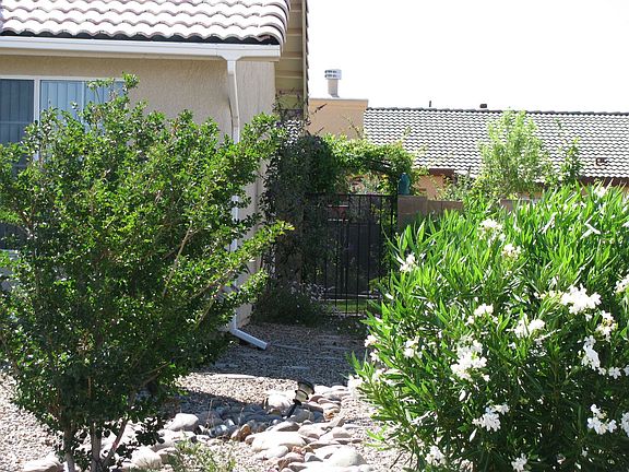 front of house - plants aged