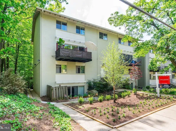8614 Manchester Rd APT 6, Silver Spring, MD 20901