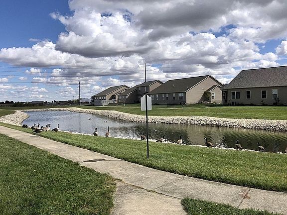 Pond with walking paths