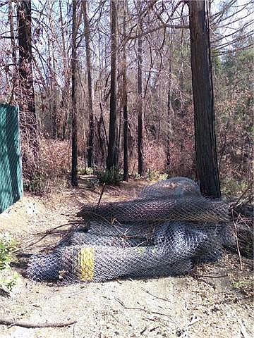 2nd image of 58 Sugar Pine Dr