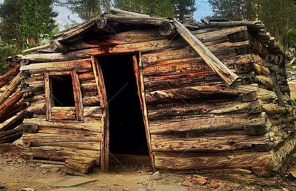 1st image of 9019 Elderwood