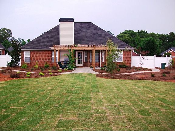 back view