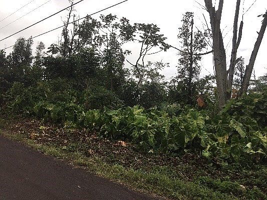 2nd image of 3rd Ave Lot 1424