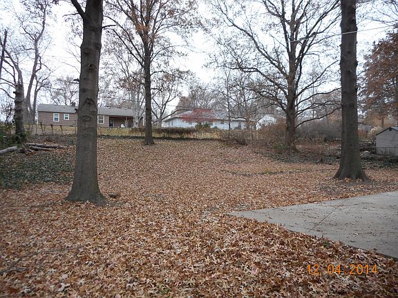 looking out to backyard