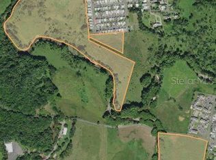 Rio Culebrinas, San Sebastian, PR 00685