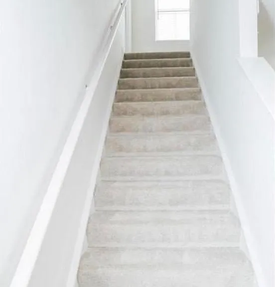 118 Charlotte St — Photo 13