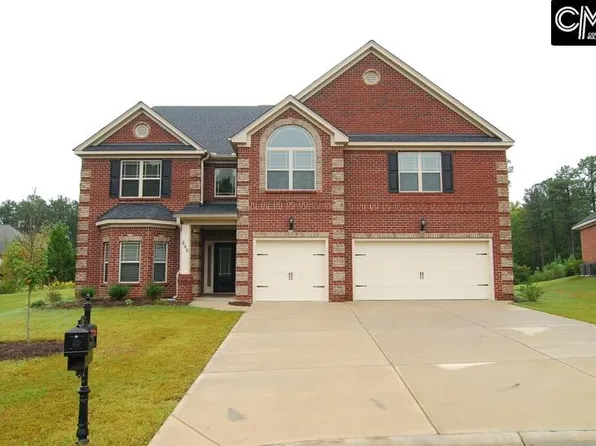 846 Village Well Ct, Chapin, SC 29036