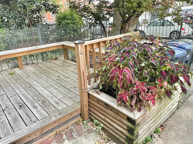 1223 Harvard St NW #1 — Photo 10