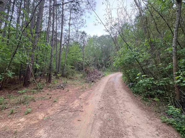 1 Wilhite Rd, Falkville, AL 35622