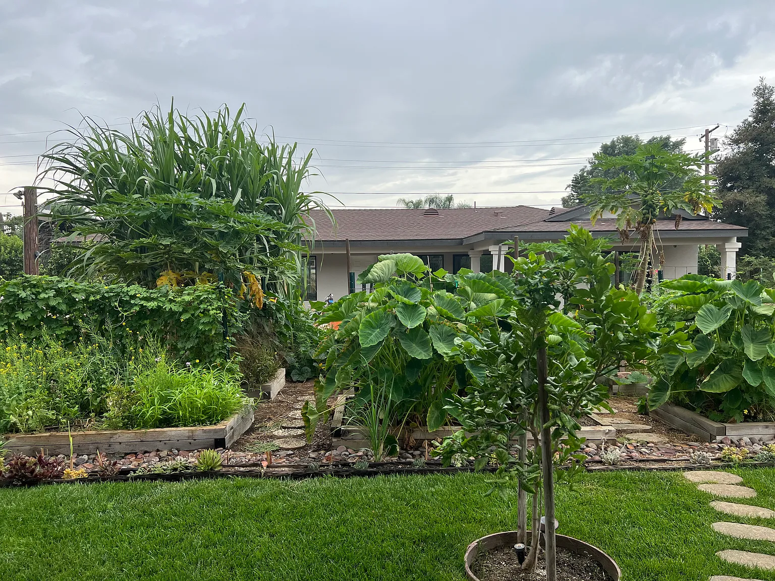 2 bed, 2.5 bath, 1200 sqft, $3,500 — Photo 1