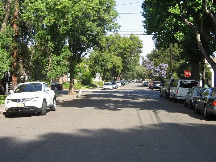 Alameda Ave./ Tree Lined