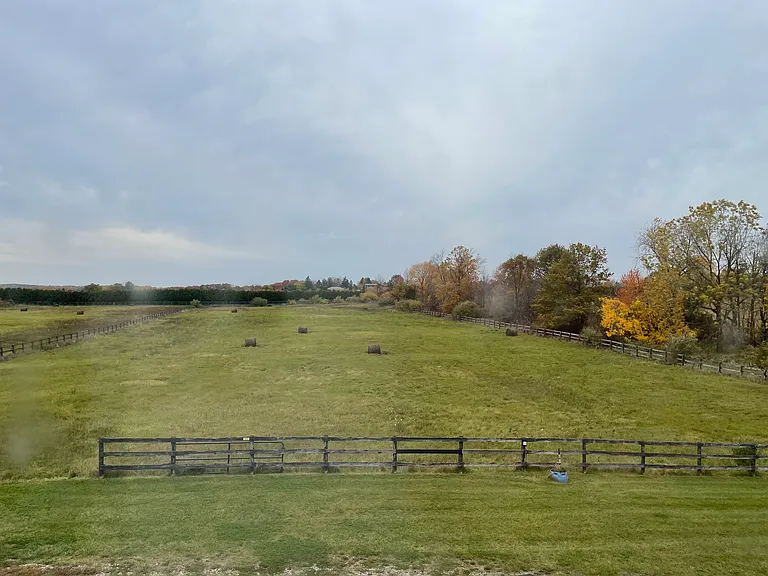 4770 Sheldon Rd — Photo 34