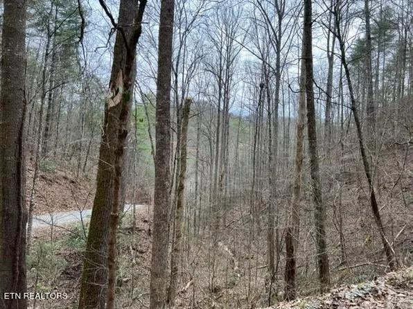 Woodside Ln, Sevierville, TN 37862