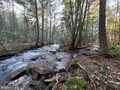 0 Back Hill Rd, Pottersdale, PA, 16871