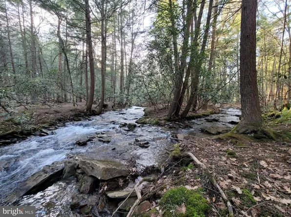 0 Back Hill Rd, Pottersdale, PA 16871