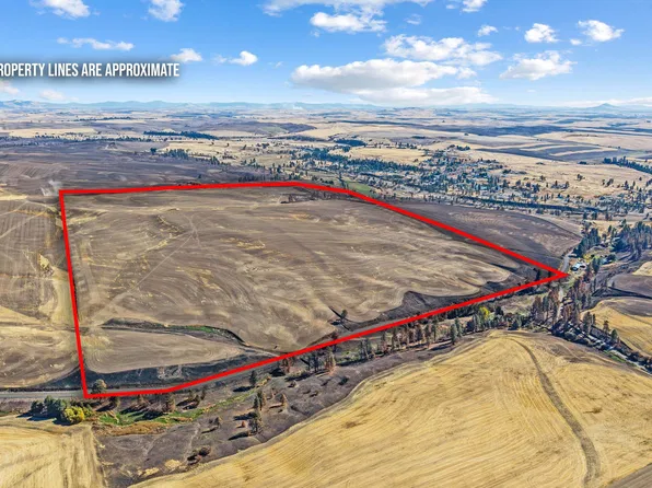 Wells Rd, Rosalia, WA 99170
