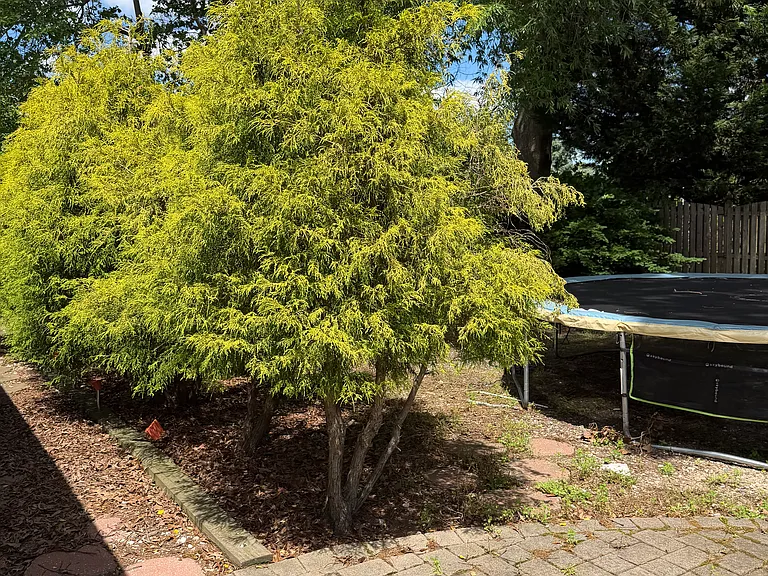 205 Fernwood Ln — Photo 6