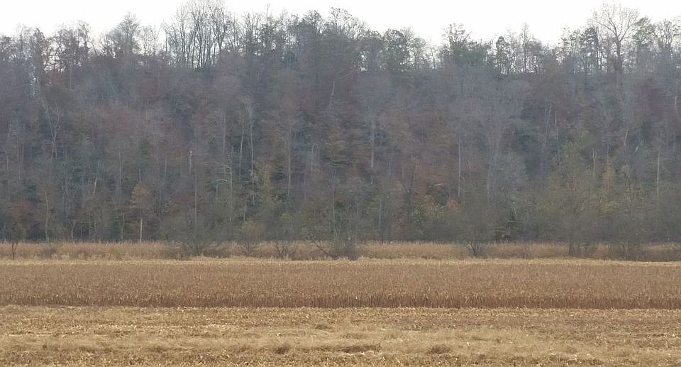  COUNTRY HUNTING GROUND 