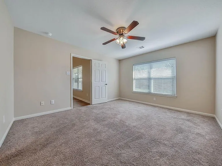 315 Pine Mist Ln — Photo 13