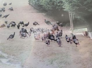 10201 Old Toms Hl SE, Flintstone, MD 21530