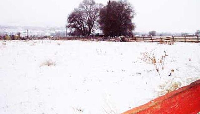 2nd image of 2102 W Ahtanum Rd
