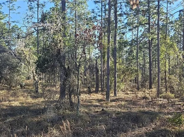LOT 13 NW Water Oak Ave, Dunnellon, FL 34431