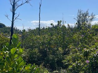 15-919 Lemiwai Rd #352, Keaau, HI 96749