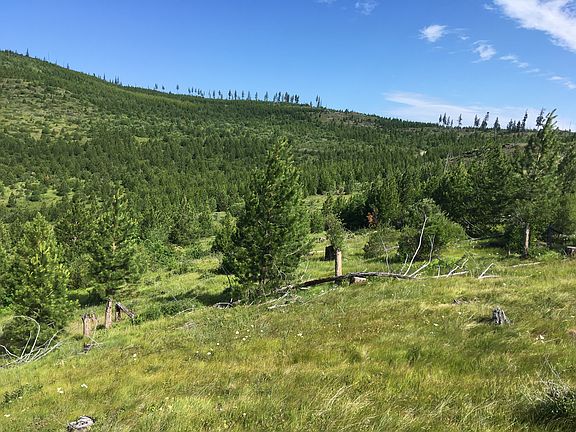 4th image of Nhn Muleskinner Ln #71