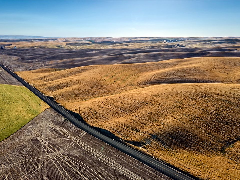 2nd image of 1 Lot TBD Loney Road