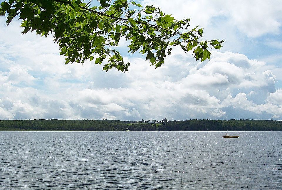 Lake view from shore