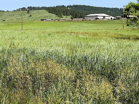 5th image of R9 Mustang Valley Rd