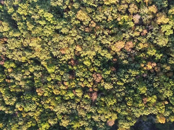 W Lions Club Dr, Rolla, MO 65401