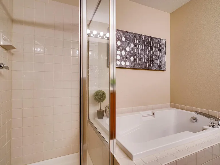 Master shower and soaking tub.