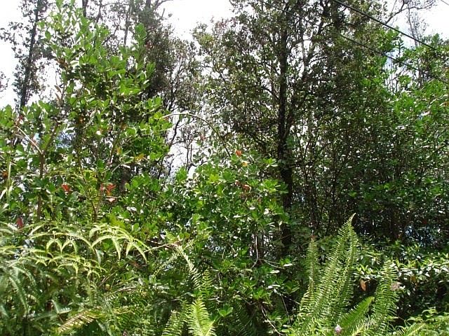 2nd image of 16-2081 Kuleana St Lot 31