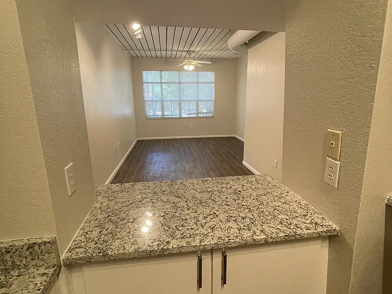 2411 W Horatio St #515 — Photo 3