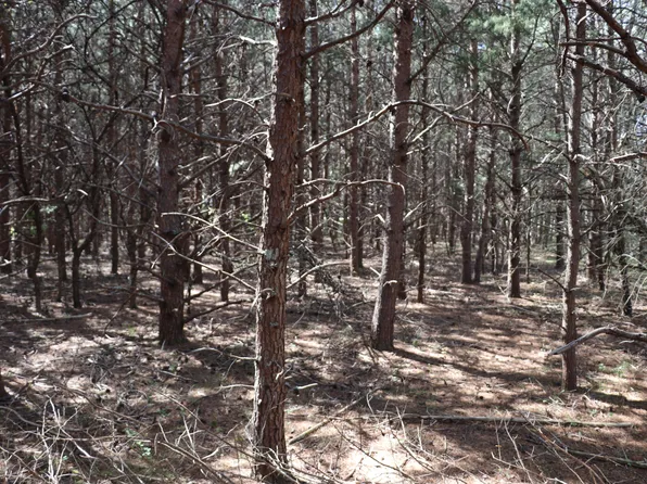 28 Scruggs Rd, Moneta, VA 24121
