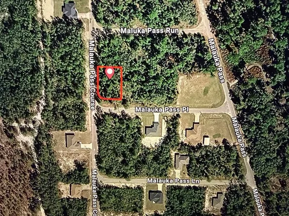 Malauka Pass Crse Lot 5, Ocklawaha, FL 32179